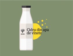 Cidru din apă de vinete image