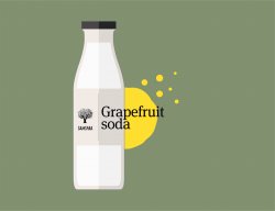 Grapefruit soda image