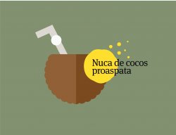 Nucă de cocos proaspătă image