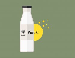 Pure C image