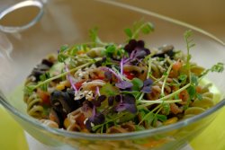 Salată de paste cu legume crude image