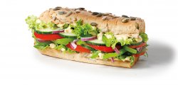 Veggie Delight (15cm) image