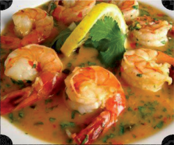 Creveți shrimp species image