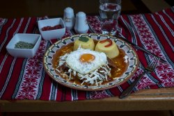 Tochitură țărănească cu mămăliguță, ou, brânză telemea, smântână/Peasant tochitura with polenta, egg, salted cow cheese, sour cream image