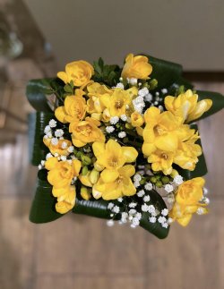Buchet fresia galbene
