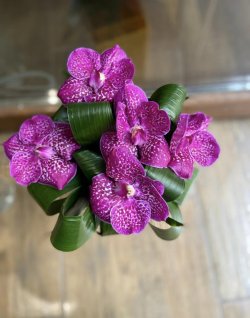 Buchet de orhidee Vanda