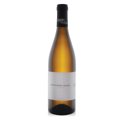 Vin alb 1000 de Chipuri Sauvignon Blanc