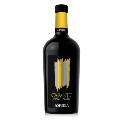 Vin roșu Astoria Caranto Pinot Noir Trevenezie IGT
