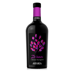Vin roșu Astoria Icona Cabernet Sauvignon Venezia DOC