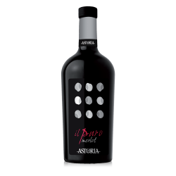 Vin roșu Astoria Il Puro Merlot Venezia DOC