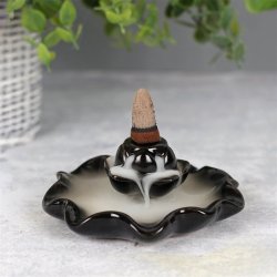 Lotus Pool