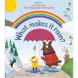 Carte pentru copii - Lift-the-Flap First Questions and Answers What makes it rain - Usborne