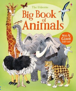 Carte pentru copii - Big Book of Animals - Usborne