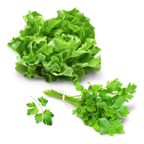 Salata si verdeturi