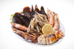 Mix fish image