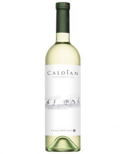 Caloian Alb image