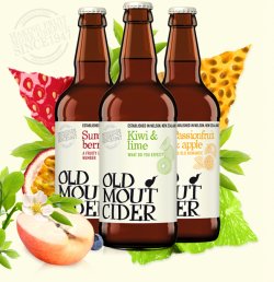 Cidru Old Mout Summer Berries image