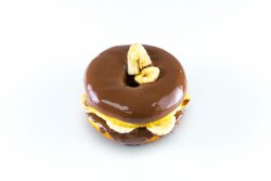 Donutella image