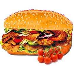 Sandwich doner kebab vita  image