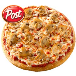 Pizza funghi  vegan-post   image