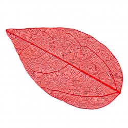 Set frunze decorative, schelet, 10 buc, 4-6 cm, rosii