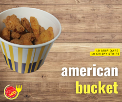 American bucket image