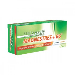 MagneStress + B6, 40 comprimate, Terapia