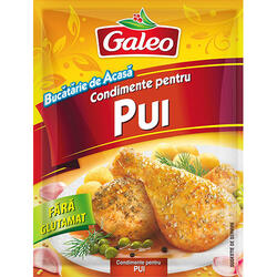 Galeo Condiment Pui Plic 20 g