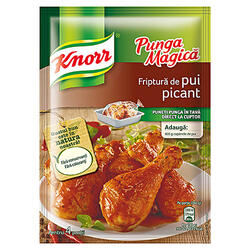 Knorr Pungă Magică Cond.Pui Picant 29 g