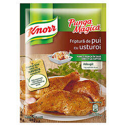 Knorr Pungă Magică Condim Pui+Usturoi 28 g