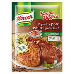 Knorr Pungă Magică Porc/Usturoi/Afum29G
