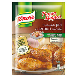 Knorr Pungă Magicăa Cond. Pui+Ierb Ar 25 g