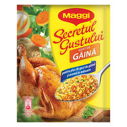 Maggi Secretul Gust Condiment Găină 75 g