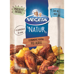 Vegeta Natur Condimen Pui Auriu Plic 20G