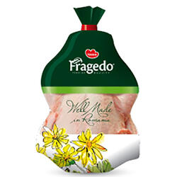 Fragedo Găină Rasă Grea Pungă
