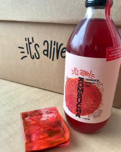 Kombucha It`s Alive - Jamaica Spirit Tea 330ml