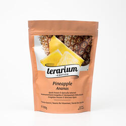 Terarium Exotica Ananas 600 g