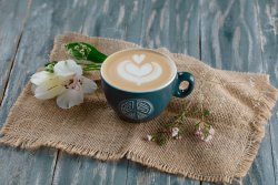 Cappuccino L image
