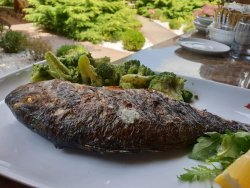 Branzino image