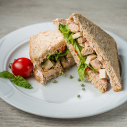 Sandwich Protein image