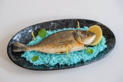 Dorada image