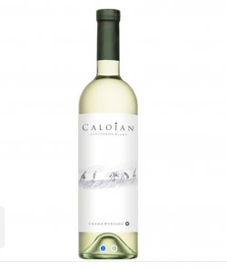caloian Sauvignon Blanc sec 0,75 l﻿ image