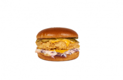American crispy burger image