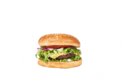 Cheesy burger vita/pui image