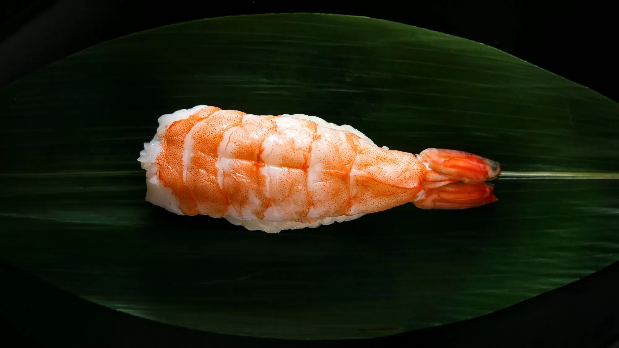 Nigiri Creveți image
