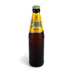 Cobra beer image