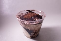 Tiramisu image