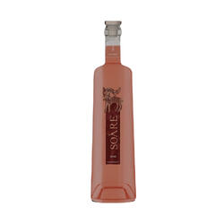 Vin roze sec Vinarte Cabernet Sauvignon si Cabernet Franc, 0.75 l