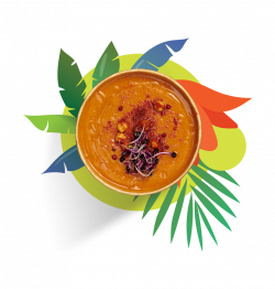 Protein Soup  image