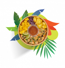 Teriyaki Chick Bowl image